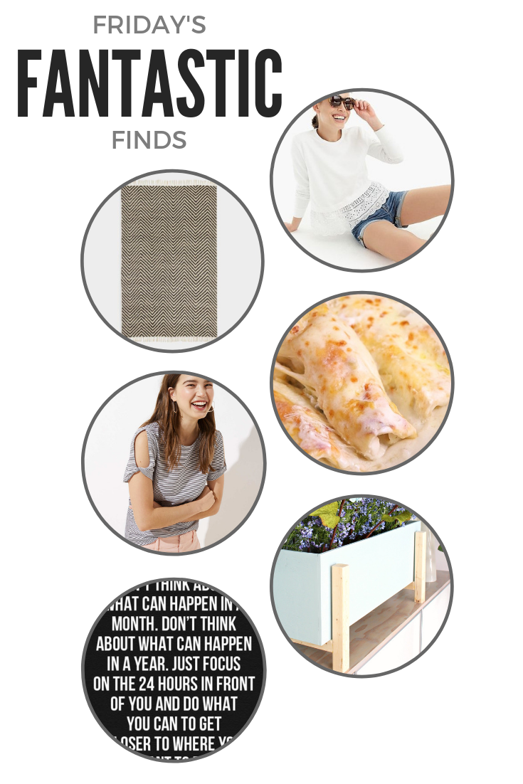 Welcome to another Friday's Fantastic Finds --  here's a little roundup of what caught my eye this week!