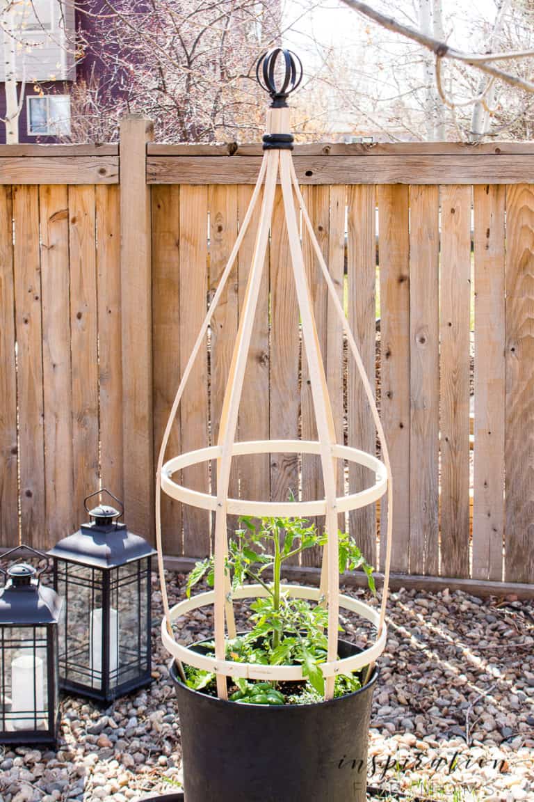 Grow the container garden of your dreams with this diy planter trellis. Perfect for tomatoes or any vining plant! #plantertrellis #trellis