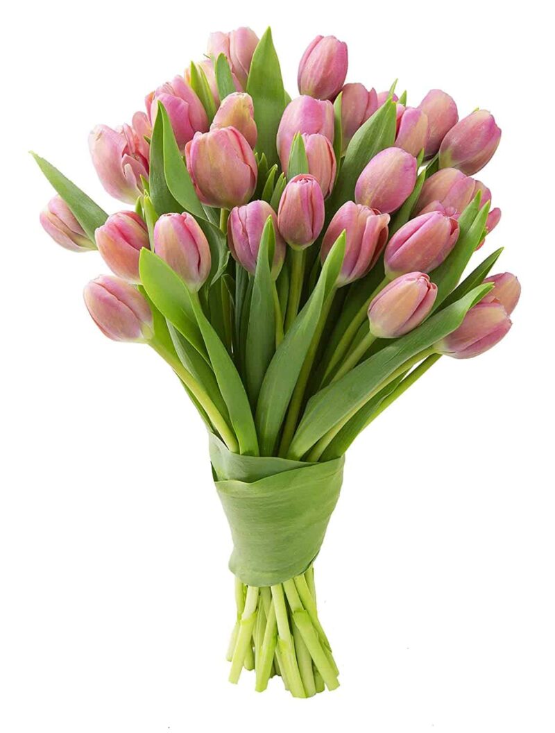 How To Arrange Tulips in a Vase - Inspiration For Moms