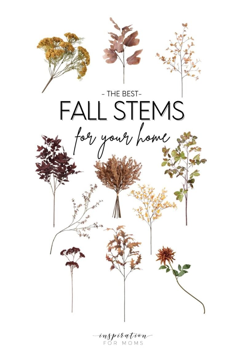 best fall stems for your home decor
